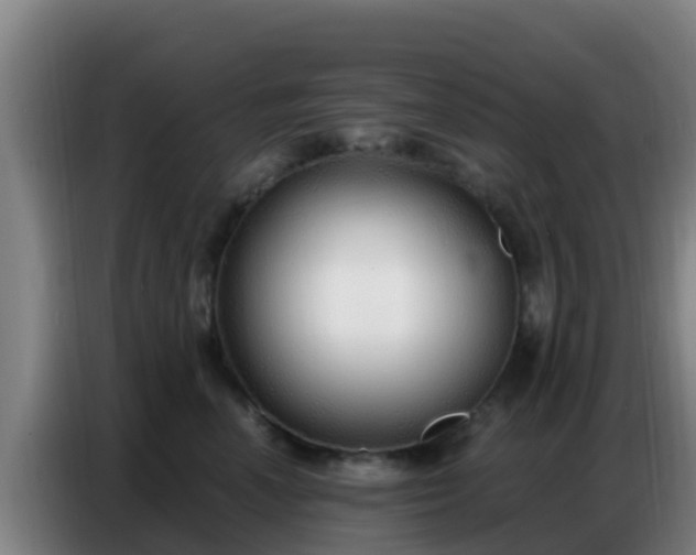 X0000086800666200704201904