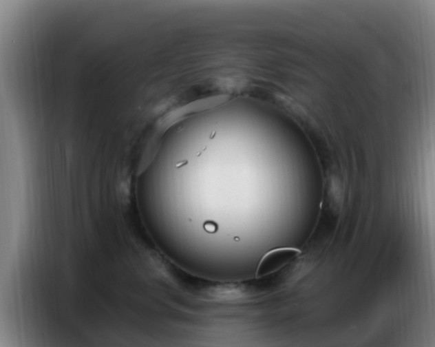 X0000086800668200704201904