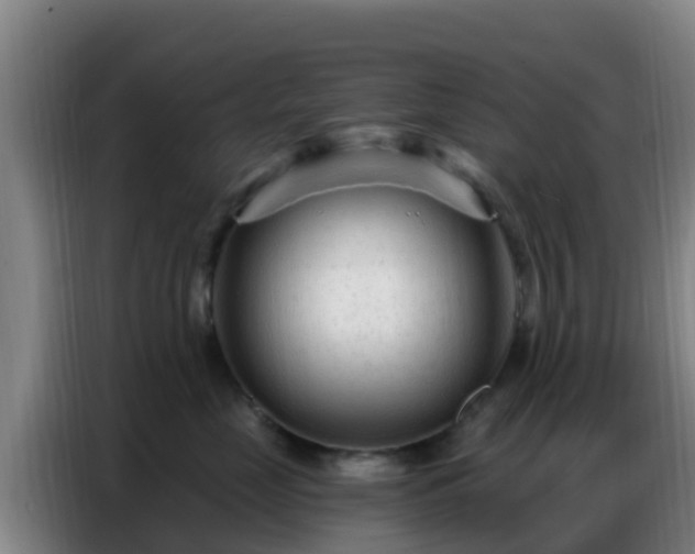 X0000086800669200704201904