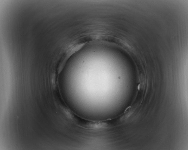 X0000086800670200704201904