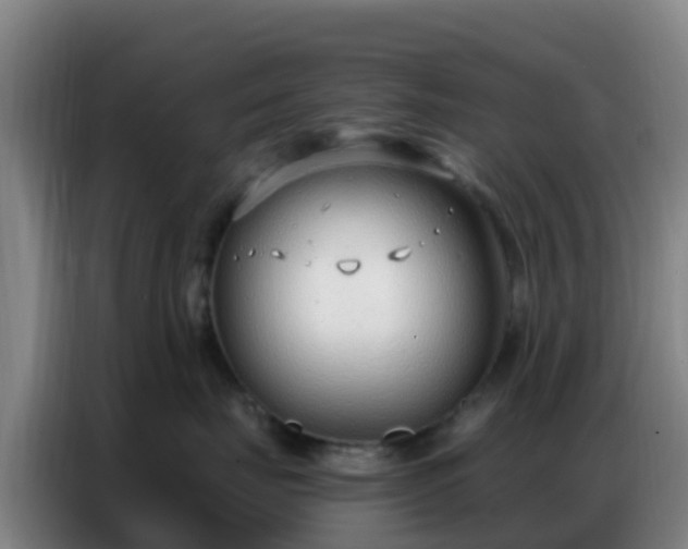 X0000086800671200704201904