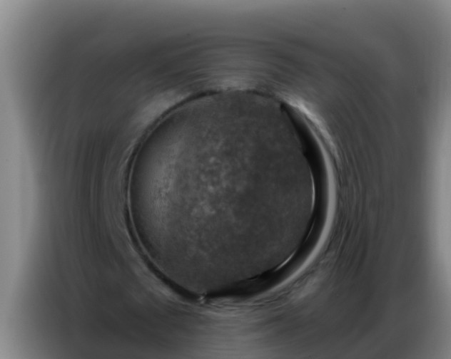 X0000086800673200704201904