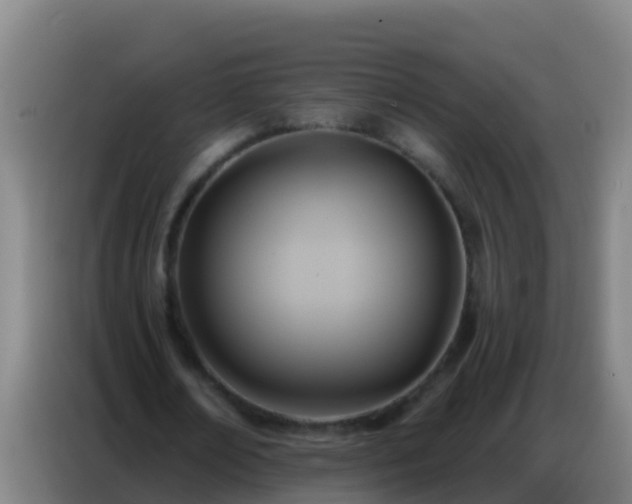 X0000086800674200704201904