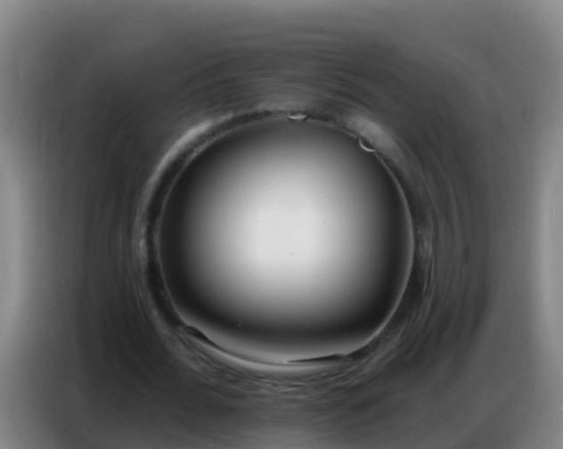 X0000086800676200704201904