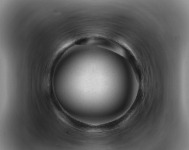 X0000086800677200704201904