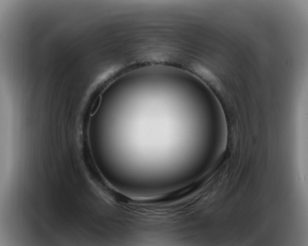 X0000086800680200704201904