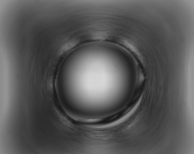 X0000086800681200704201904