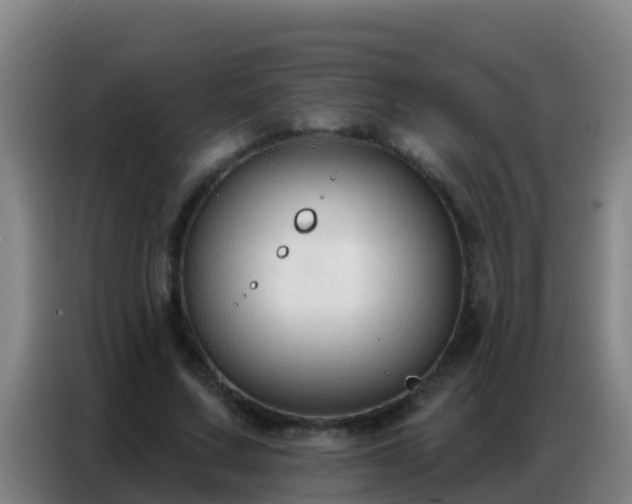 X0000086800683200704201904