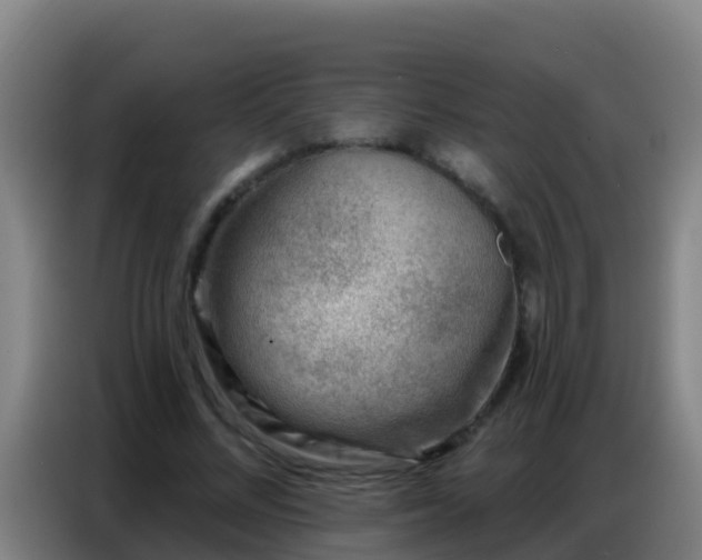 X0000086800684200704201904