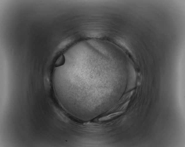 X0000086800688200704201903