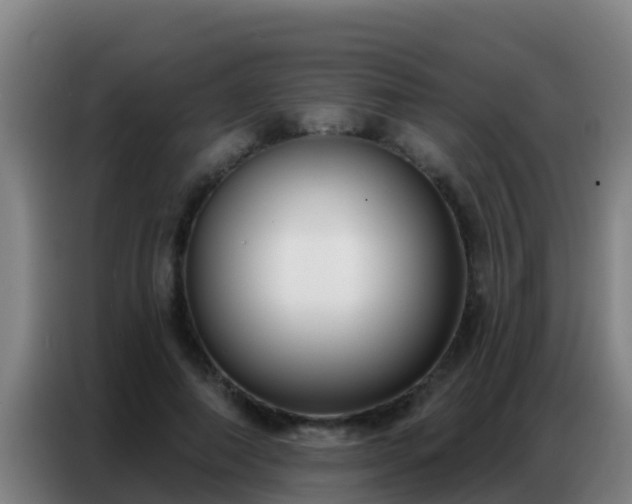 X0000086800690200704201903