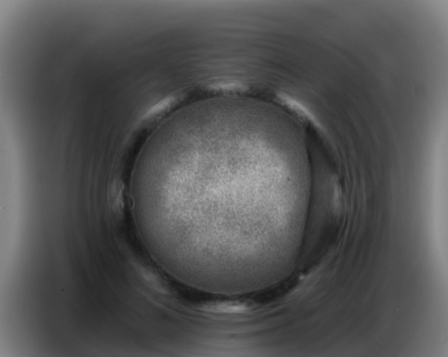 X0000086800692200704201903