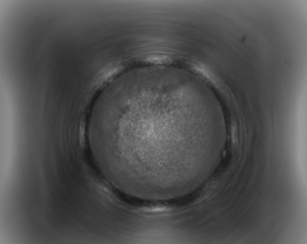 X0000086800696200704201903