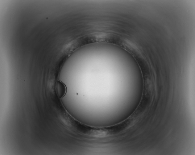 X0000086800698200704201903