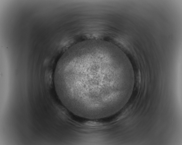 X0000086800699200704201903
