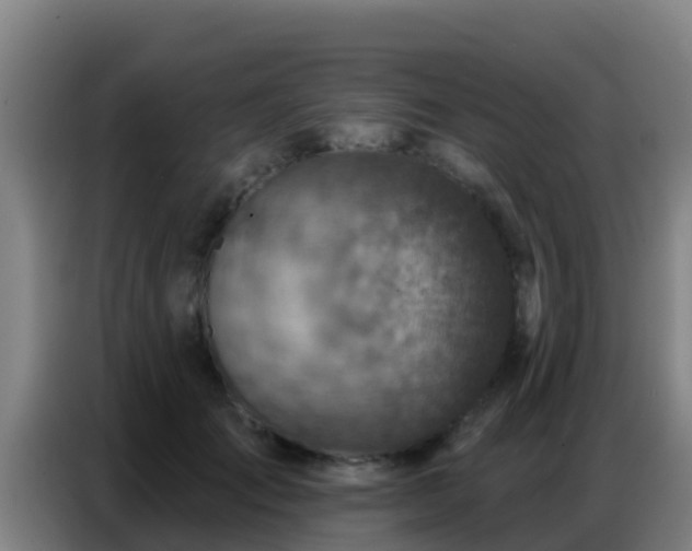 X0000086800701200704201903