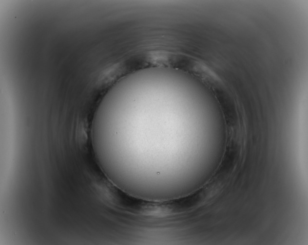 X0000086800702200704201903