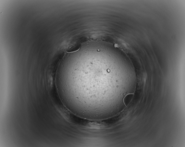X0000086800703200704201903
