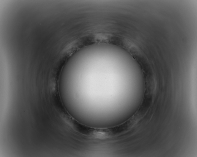 X0000086800706200704201903