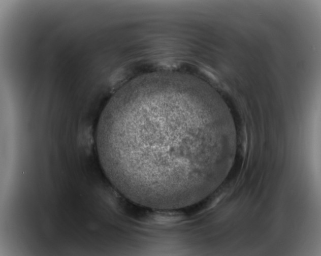 X0000086800707200704201903