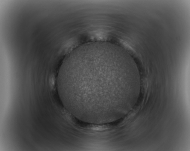 X0000086800709200704201903