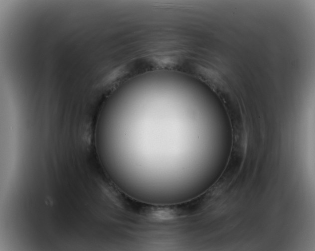 X0000086800710200704201903