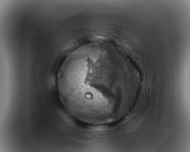 X0000086800711200704201903