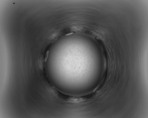 X0000086800712200704201903