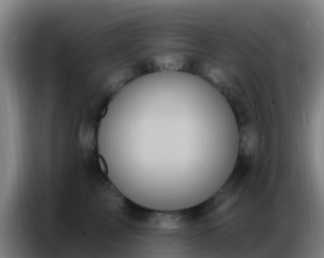 X0000086800713200704201903