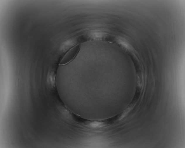 X0000086800718200704201903
