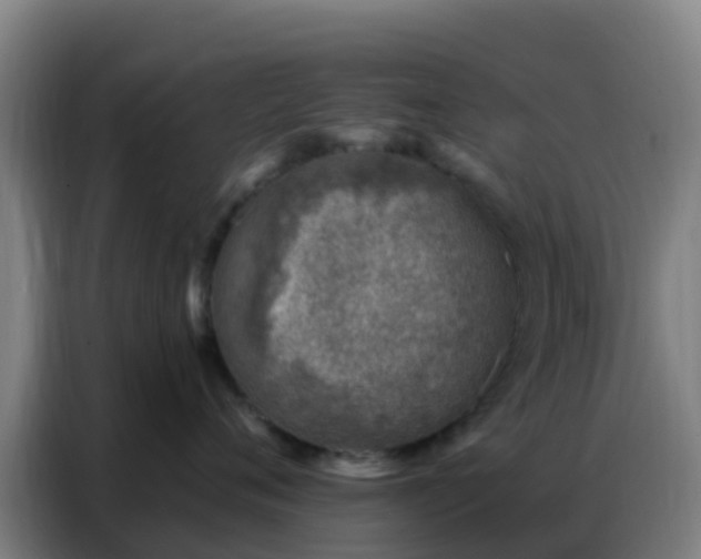 X0000086800720200704201903
