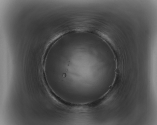 X0000086800721200704201902