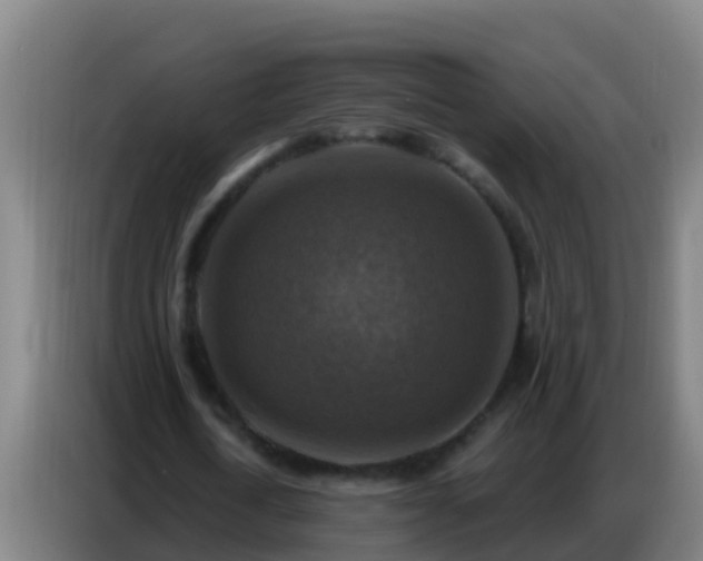 X0000086800722200704201902