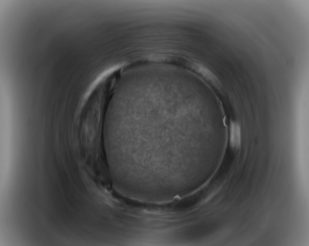 X0000086800723200704201902