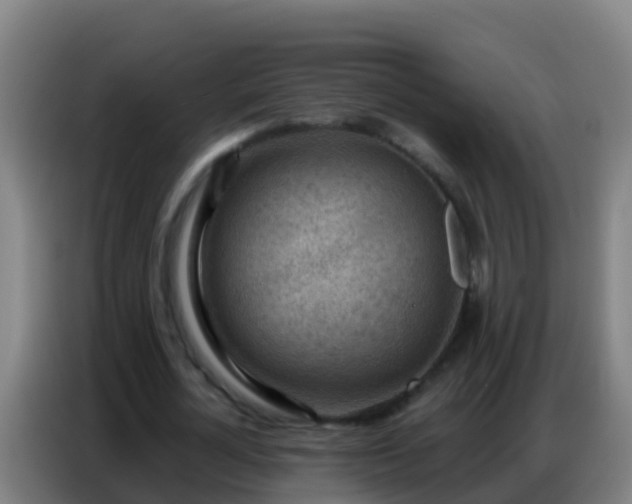X0000086800724200704201903
