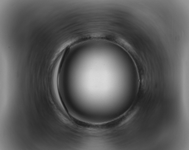 X0000086800725200704201903