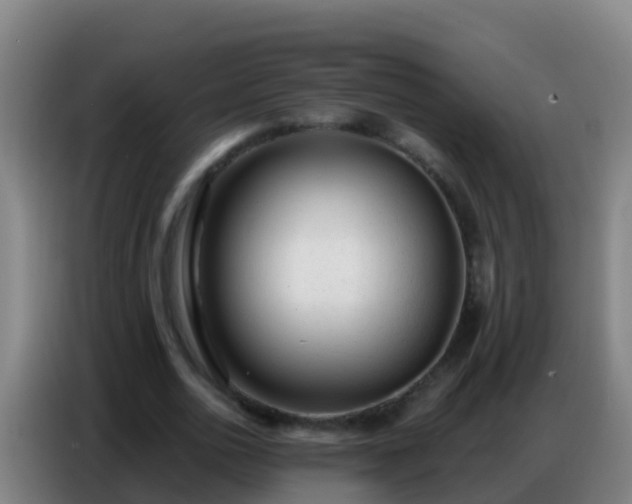 X0000086800726200704201903