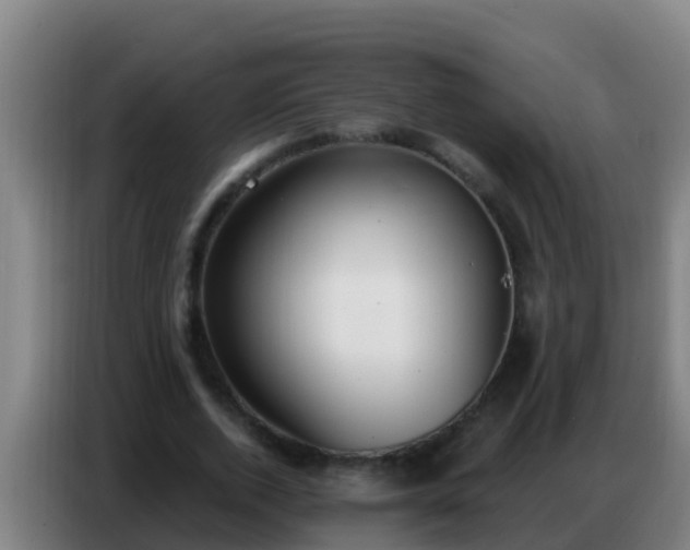 X0000086800728200704201903