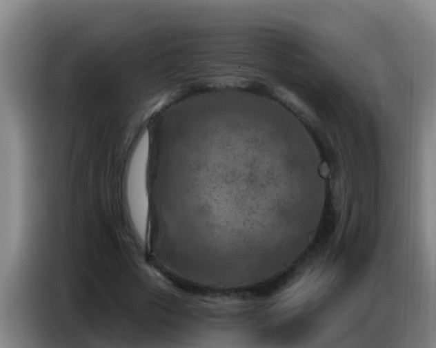 X0000086800729200704201903