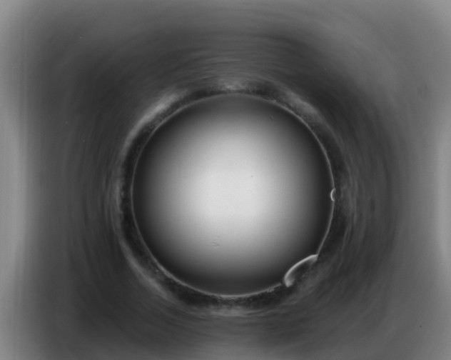 X0000086800730200704201903
