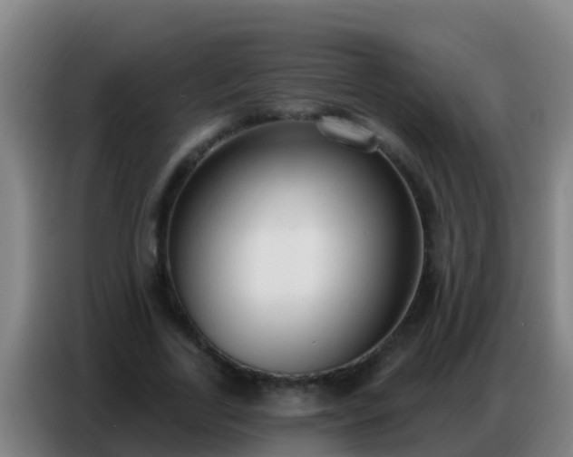 X0000086800731200704201903