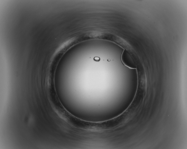 X0000086800732200704201903