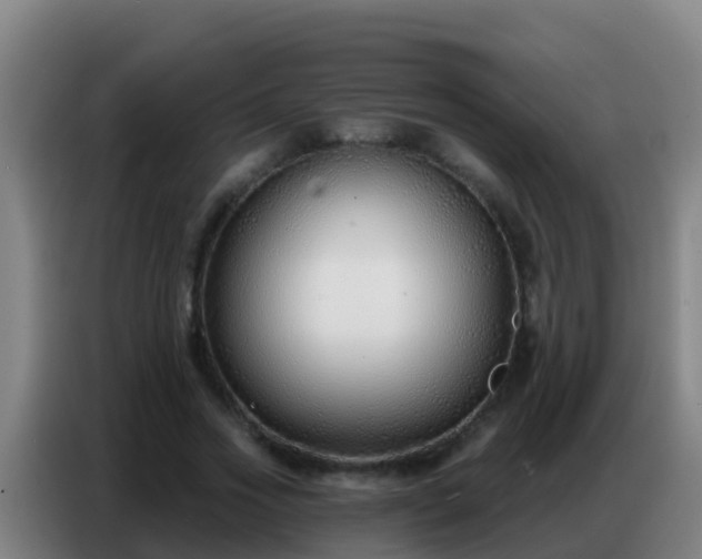 X0000086800733200704201903