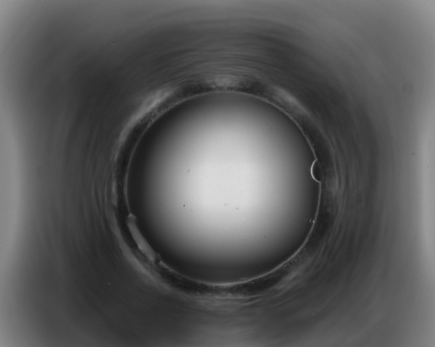 X0000086800734200704201903
