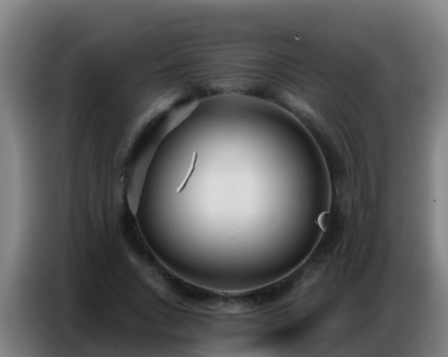 X0000086800735200704201903