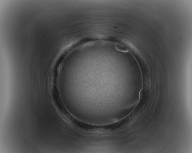 X0000086800736200704201903
