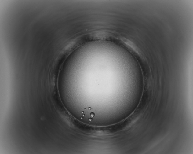 X0000086800737200704201903