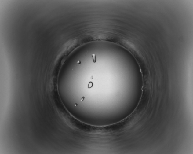 X0000086800738200704201903