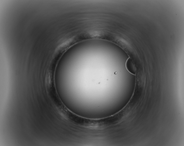 X0000086800740200704201903