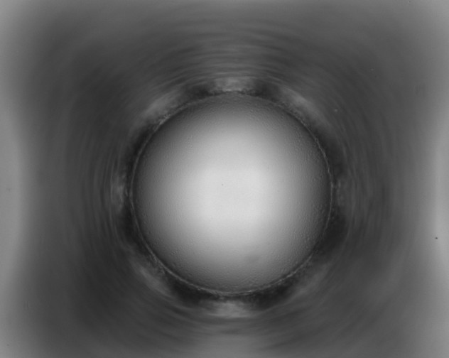 X0000086800741200704201903